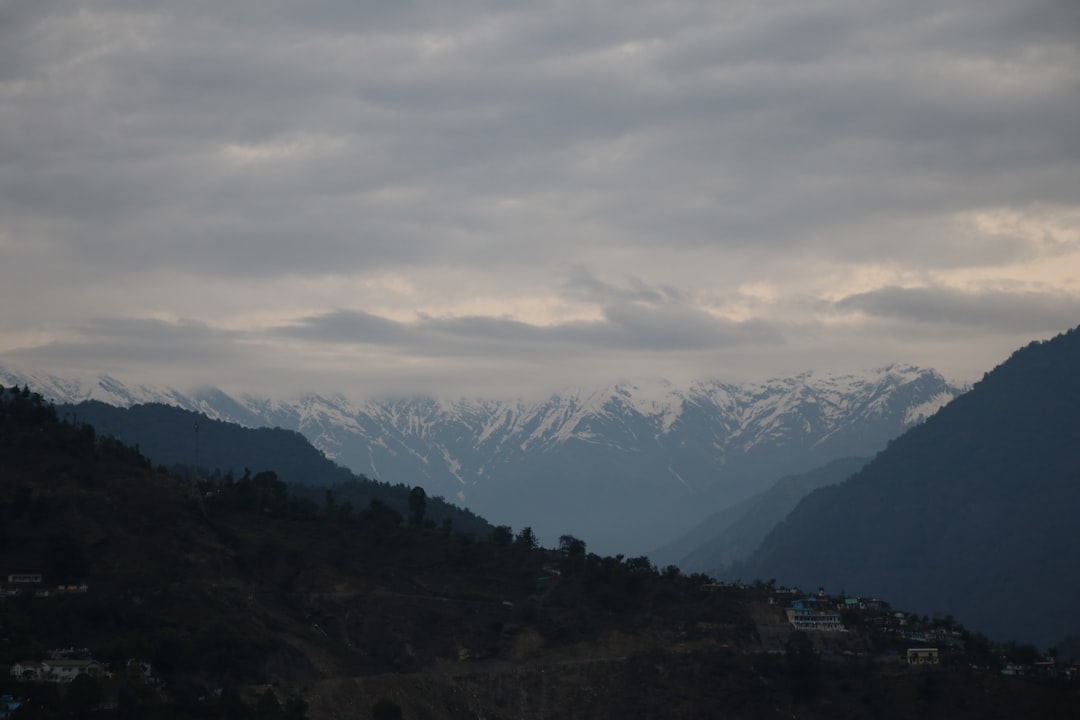 Патентование алгоритмов ИИ